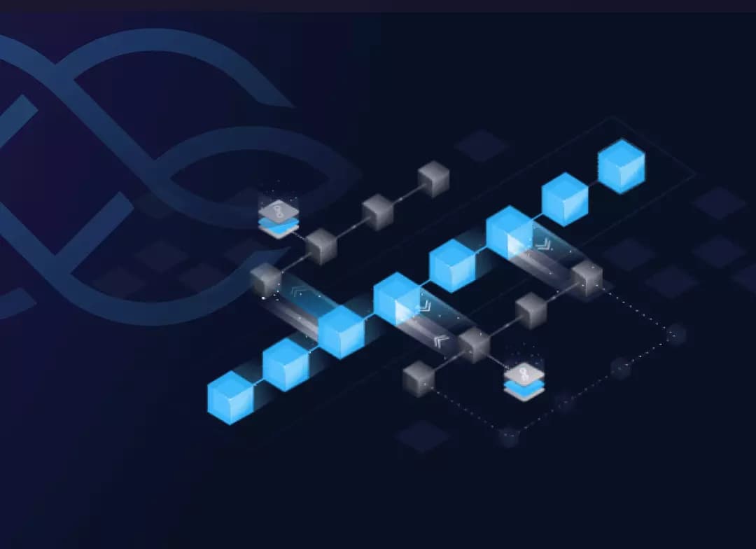 IAGON card cover