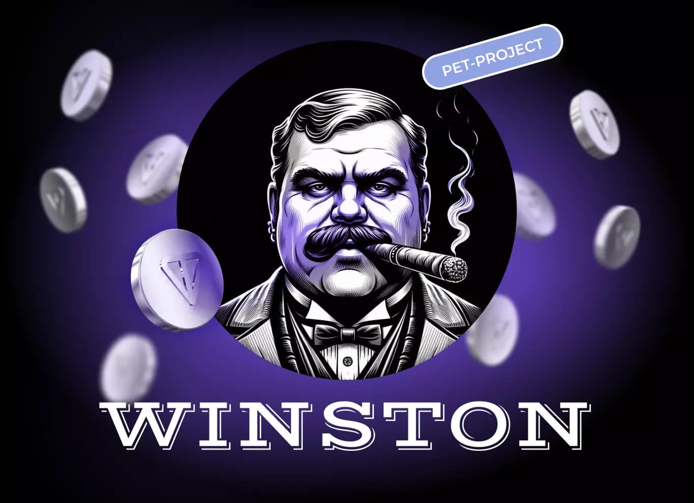 WinsTON card cover